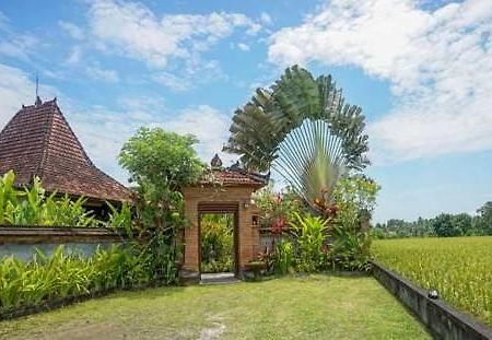Rumah Sungai Villa Убуд Екстер'єр фото