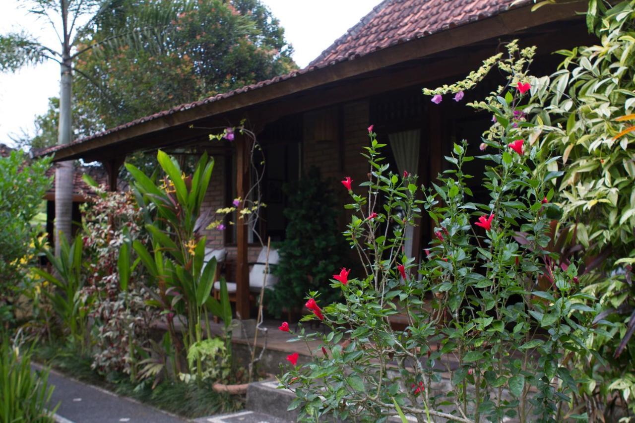 Rumah Sungai Villa Убуд Екстер'єр фото
