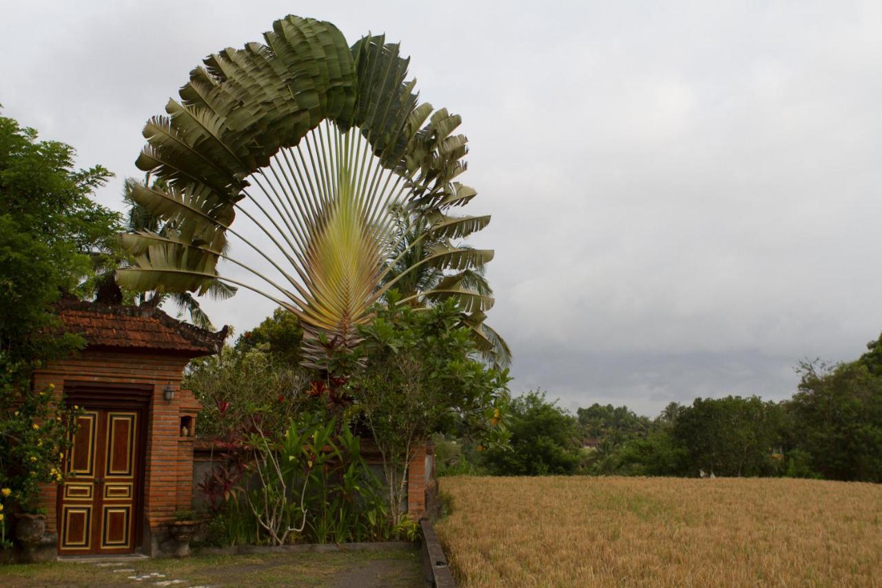 Rumah Sungai Villa Убуд Екстер'єр фото