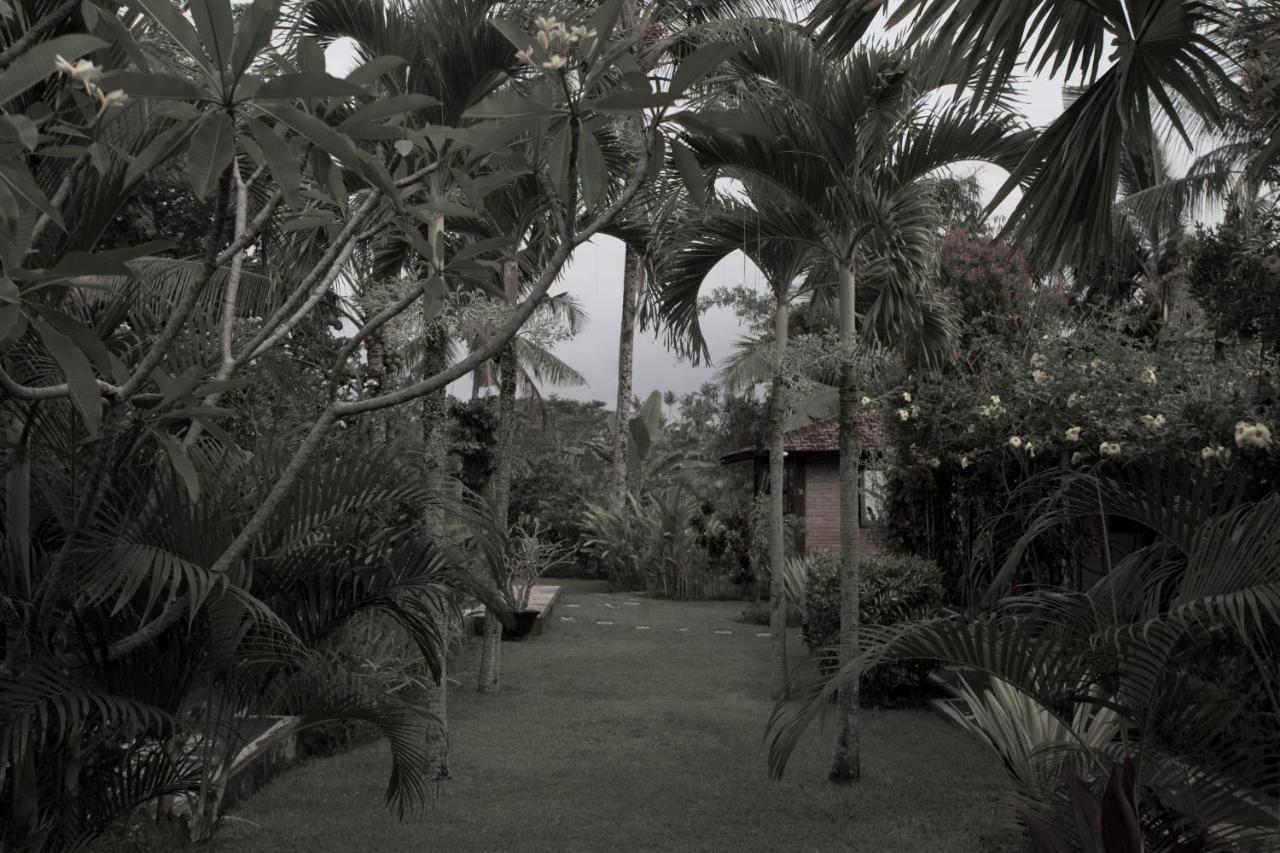 Rumah Sungai Villa Убуд Екстер'єр фото