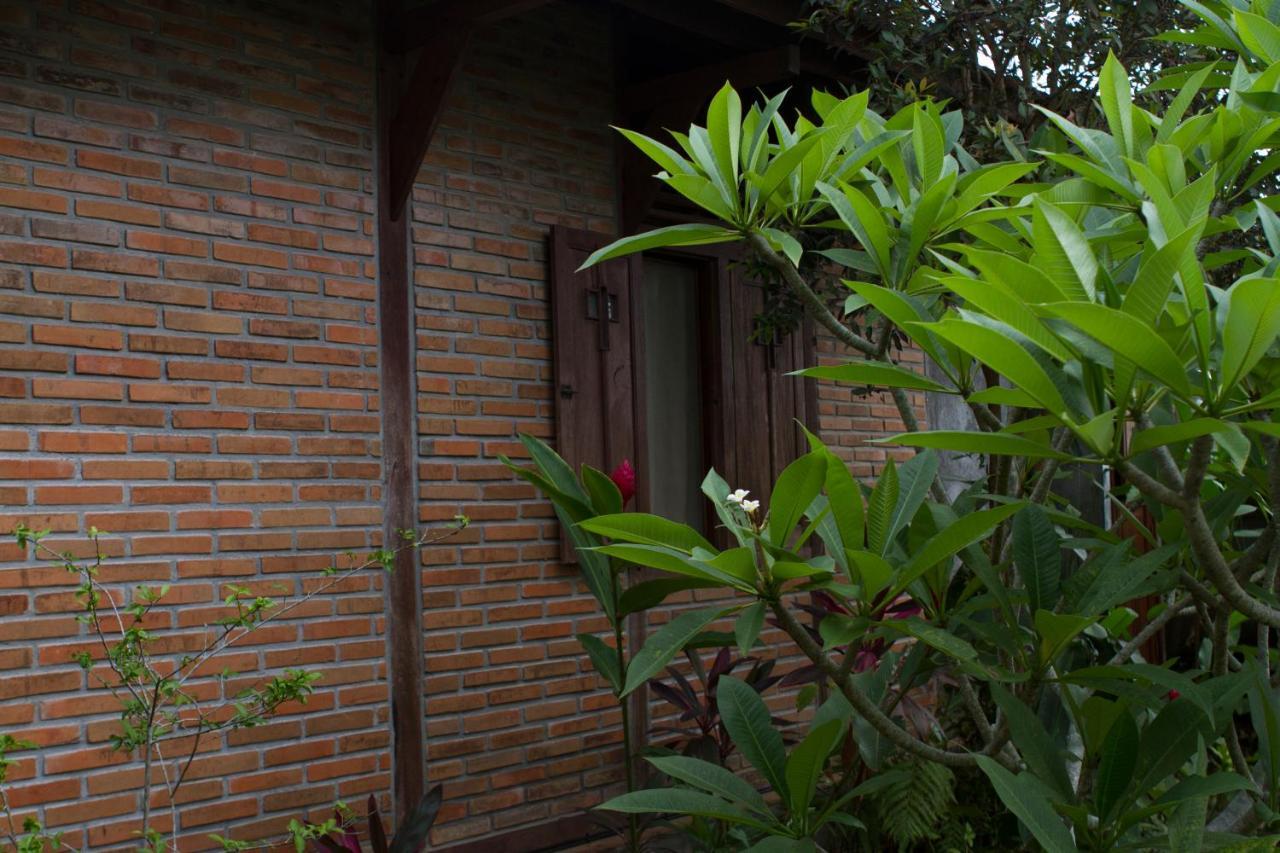 Rumah Sungai Villa Убуд Екстер'єр фото