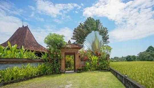 Rumah Sungai Villa Убуд Екстер'єр фото