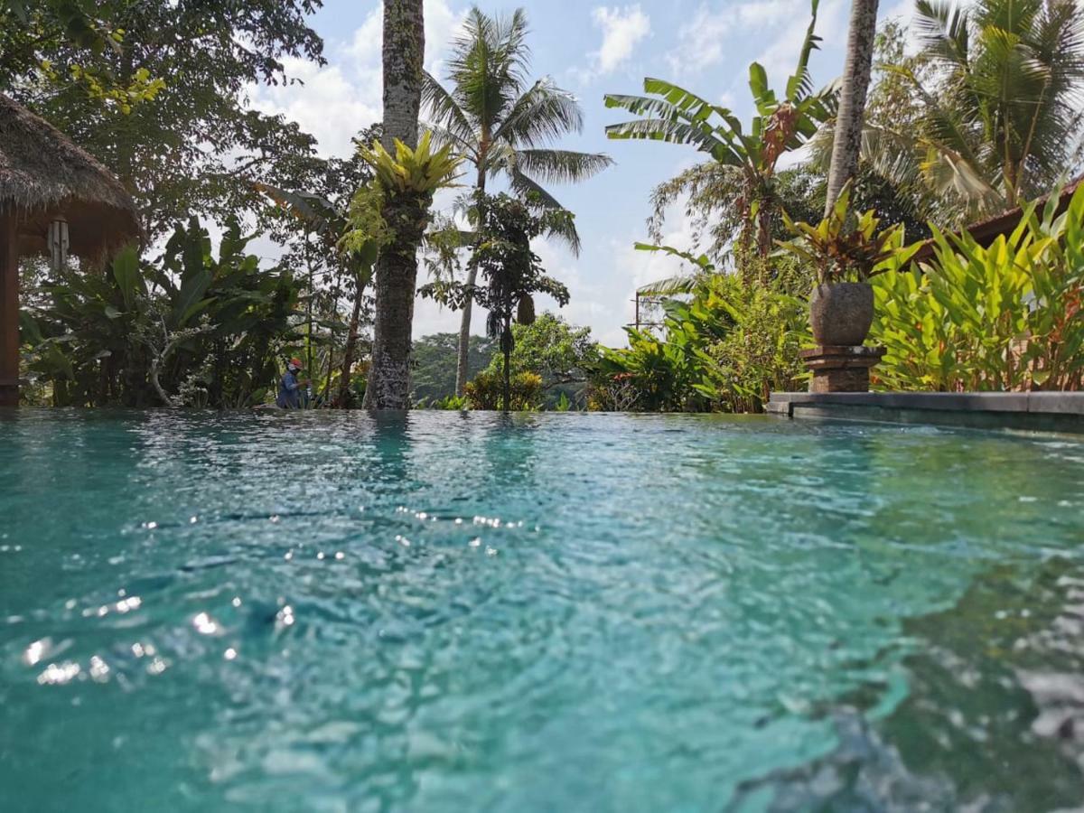 Rumah Sungai Villa Убуд Екстер'єр фото